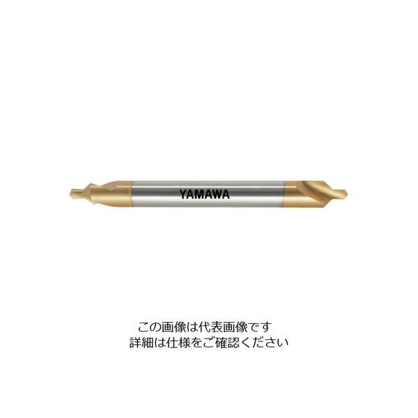 CE-QL-V-L-100-4X10（直送品）