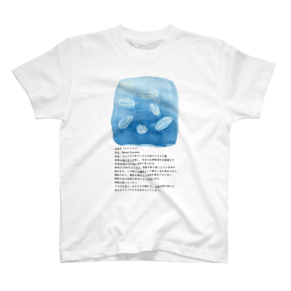 ウリクラゲのＴシャツ