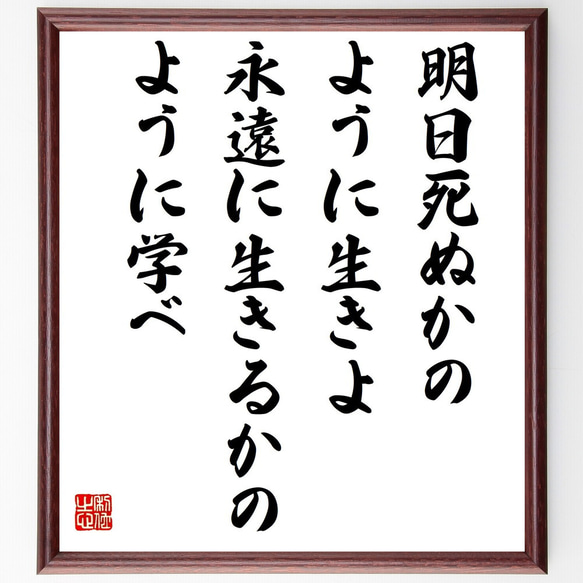 ガンディー（ガンジー）の名言「明日死ぬかのように生きよ、永遠に生きるかの～」／額付き書道色紙／受注後直筆(Y5194)