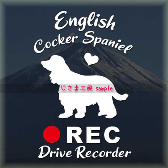 わんちゃんの可愛いドラレコステッカー!!『DRIVE　RECORDER』