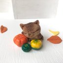 《再販》カボチャでうたた寝猫さん　受注制作