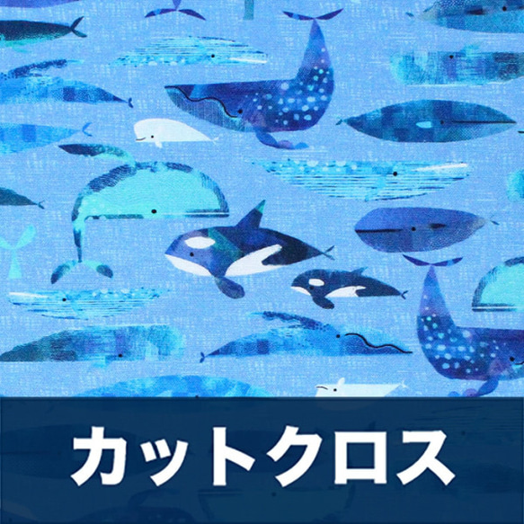 カットクロス Windham Fabrics Icy World Cetaceans Periwinkle