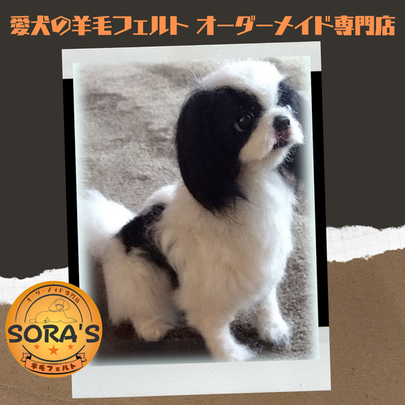 羊毛フェルト＃犬　リアルで可愛い　愛犬さん　オーダー制作・わんちゃん　ちん