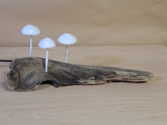 Mushlamp. ミニきのこランプ. Driftwood lamp. 流木ランプ.