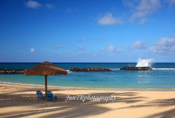 【Beach Day】ハワイ写真　青い海　青空　パームツリー　ビーチ　ヤシの木　南の島　南国　風景写真　マットフレーム