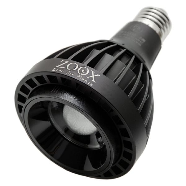 ZOOX LED RAYS