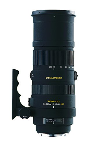 SIGMA 超望遠ズームレンズ APO 150-500mm F5-6.3 DG OS HSM ニコン用 フルサイズ対応 737559【中古品】