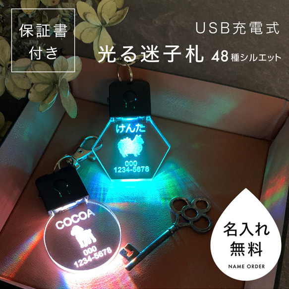 36種類の犬シルエット 光る迷子札 光るキーホルダー 名入れ無料 USB充電式