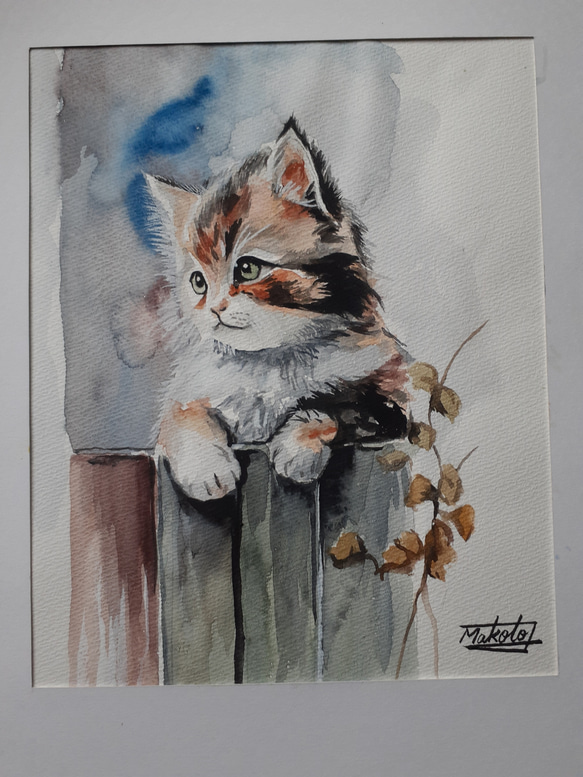 水彩画　可愛い子猫