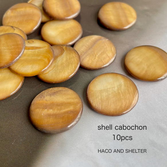 10pcs★cabochon・shell camelgold（シェルカボション）