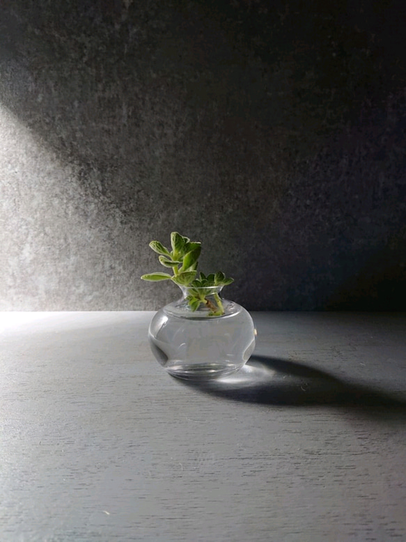 ”rindate -small-glass‐flower vase　輪立(りんだて)-スモール・ガラス花瓶　一輪挿し