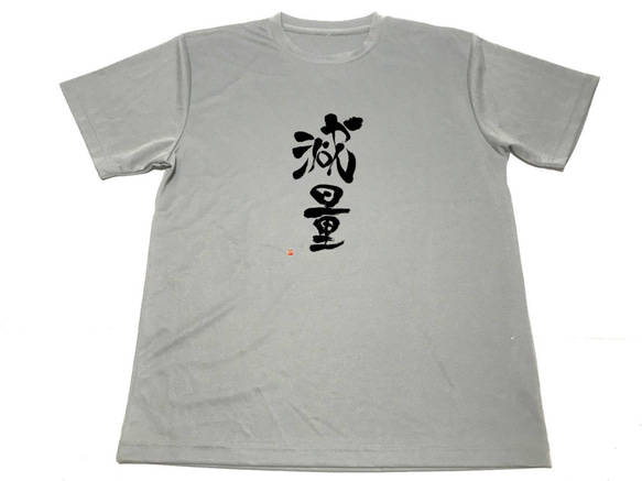 グレー　減量 ドライ Tシャツ 漢字 KANJI グッズ 書道  ジム ウェア