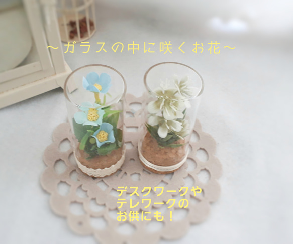 *Bottled flowers＊ガラスの中に咲く花＊＊