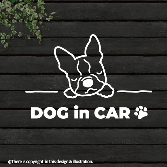 DOG IN CAR/ボストンテリア【カッティングステッカー】手書きわんこ