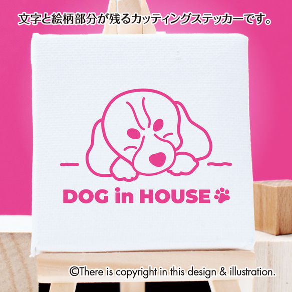 DOG IN HOUSE★キャバリア002【カッティングステッカー】手書きわんこ