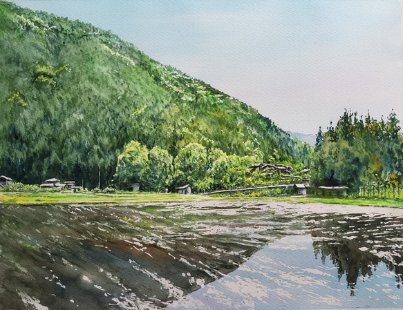 絵画　水彩画　風景画　画題「田植え前の水鏡」