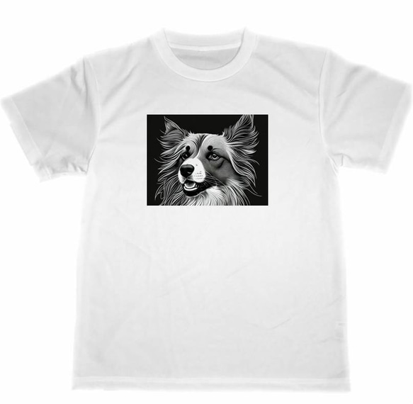 コリー　ドライ　Tシャツ　犬　イラスト　アート　グッズ　ペット　Collie　DOG