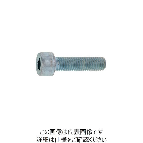 SUNCO ダクロ CAP（日星精工 18 × 80 （15本入） A0-00-000C-0180-0800-13 248-7343（直送品）