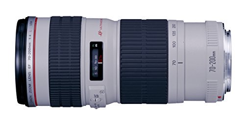 Canon 望遠ズームレンズ EF70-200mm F4L IS USM フルサイズ対応【中古品】