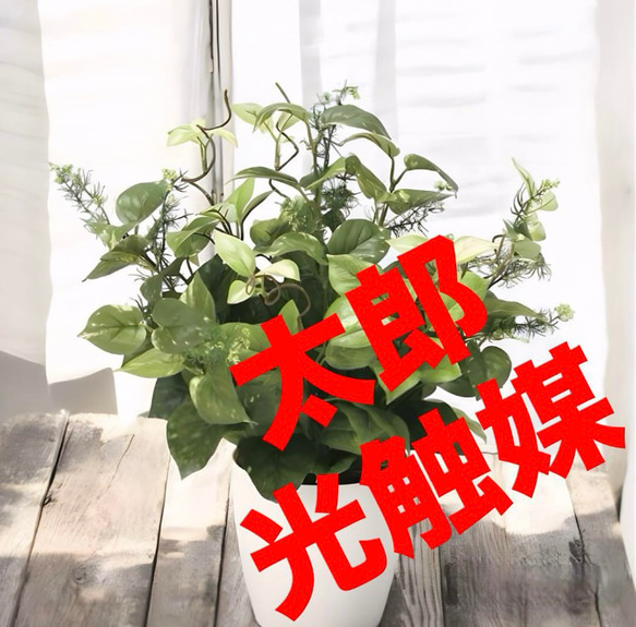 光触媒　人工観葉植物　ウォールグリーン　フェイクグリーン　ミックスポトス