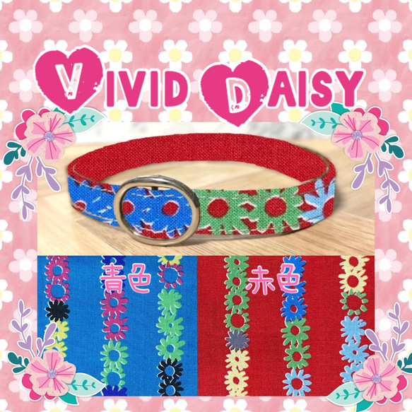 Vivid  Daisy＊迷子札付＊軽い首輪