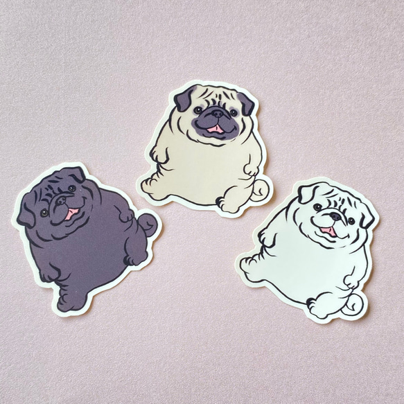 PUG13  ポテッとパグちゃん。