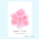 6月22日誕生花カード（花言葉つき）点描画