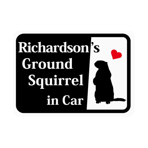 Richardsons Ground Squirrel 「リチャードソンジリス」 車用ステッカー (マグネット)s45