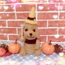 ????✨わくわくハロウィンダックスちゃん????✨