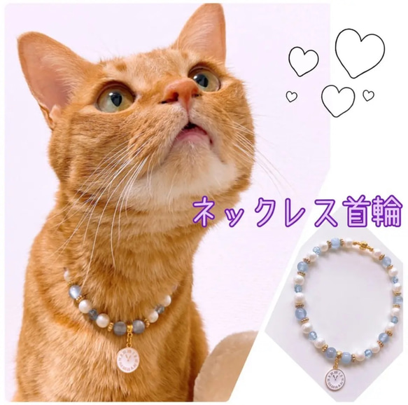 猫の首輪ブルーキャッツアイビーズ✨ネックレス首輪♡時計チャーム