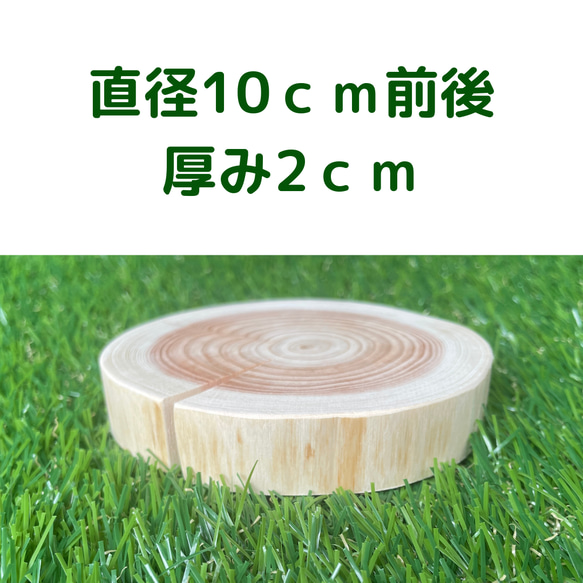 皮無しヒノキの輪切り　直径10ｃｍ前後　厚み2ｃｍ