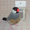 リアルサイズ 桜文鳥（ノ－マル）Wool figure　lifel size ★Java sparrow★ Stuffed wool★ クチバシの色相談可能 鳥のオブジェ 受注作成