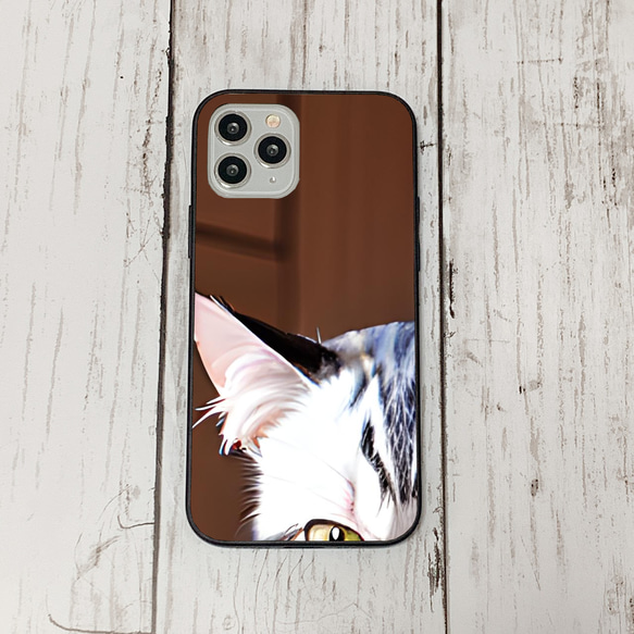 iphoneケース1-4-4 iphone 強化ガラス 猫・ねこ・ネコちゃん 箱18 かわいい アイフォン iface