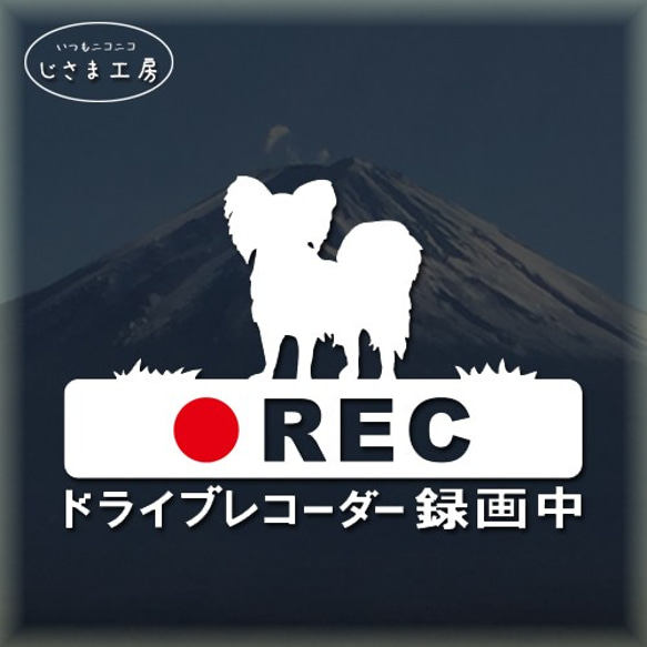 パピヨンの白色シルエットステッカー危険運転防止!!ドライブレコーダー録画中