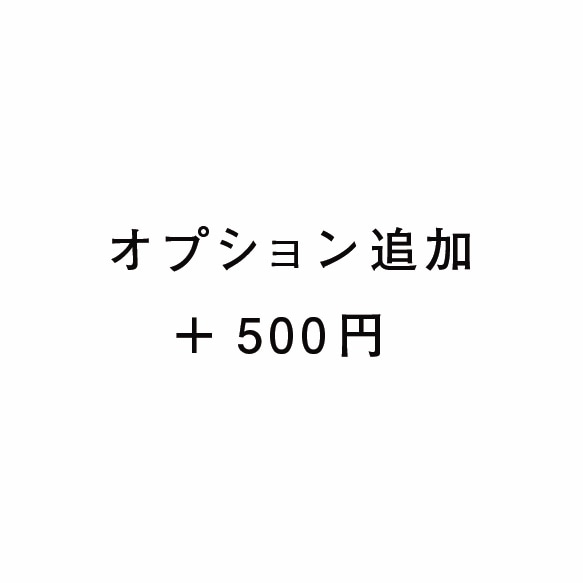 オプション追加　＋500円