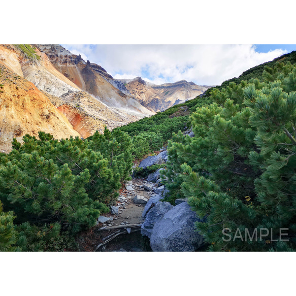 【2L写真】お家で登山気分・秋の富良野岳登山道（その3）、北海道風景フォト