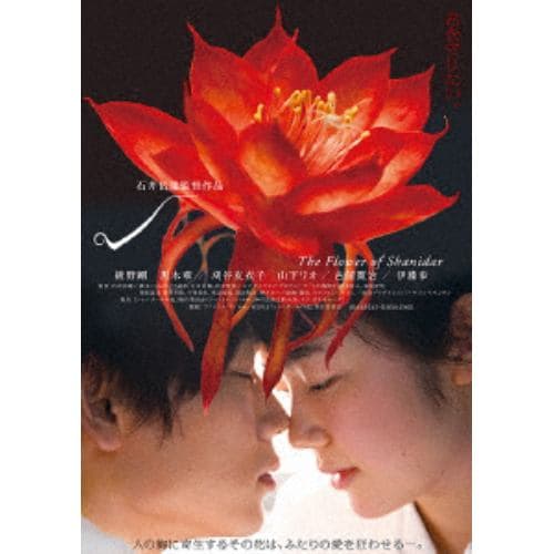 【DVD】シャニダールの花