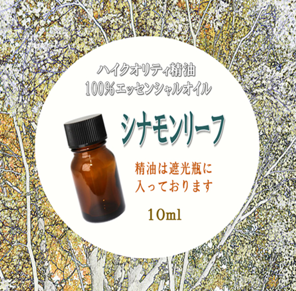 【セール】高品質精油・100％ピュアエッセンシャルオイル「シナモンリーフ」10ml　～心身を強壮し前向きな気持ちに～