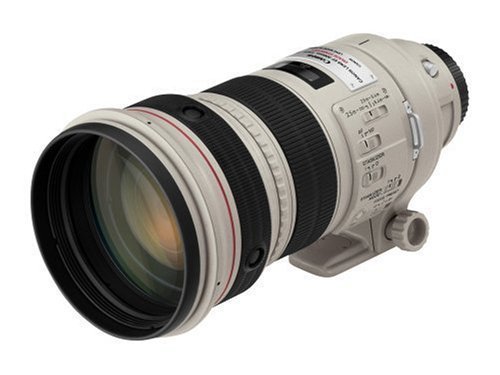 Canon EF Lレンズ 300mm F2.8L IS USM【中古品】