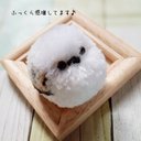 再販92〜93羽目シマエナガ １つぽんぽんで鳥シリーズ【雪の妖精/シマエナガちゃん/マスコット/手乗り】