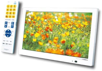 ディーオン 10V型 液晶 テレビ MV101WW1【中古品】