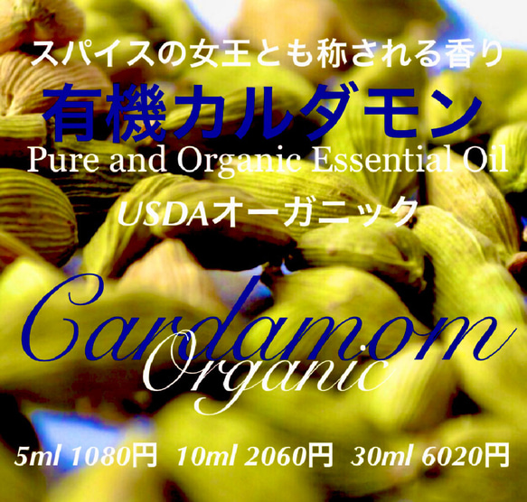 有機(USDAオーガニック)カルダモン精油10ml