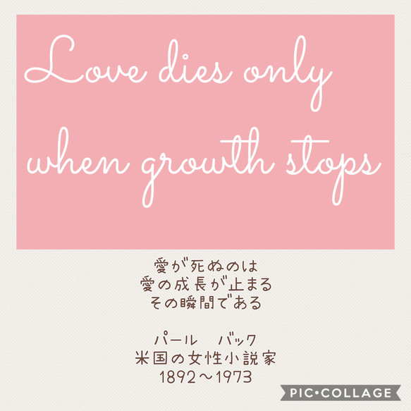 ワイヤーレタリング　Love  dies