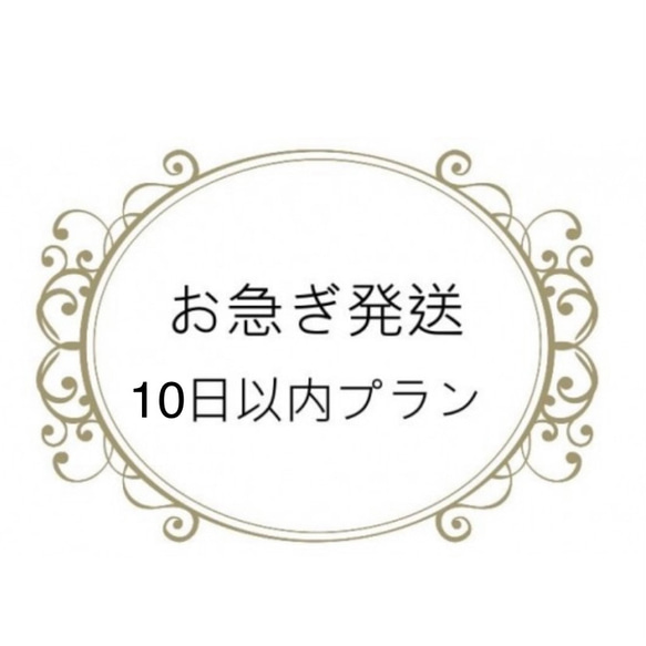 【お急ぎ便】営業日10日以内発送オプション（必ず商品と一緒に購入してください）