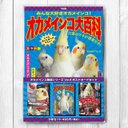 オカメインコ雑誌シリーズVol.6　ポストカード3枚セット