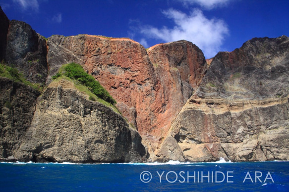 【額装写真】見上げるビッグハート＜世界遺産 小笠原諸島＞