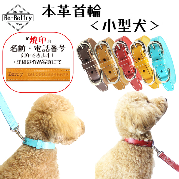 【送料無料】本革首輪〈小型犬〉幅１７ｍｍ　首回り～３２cm(長さ選択可) レザー　青 赤 黄 キャメル 茶 チョコ 色