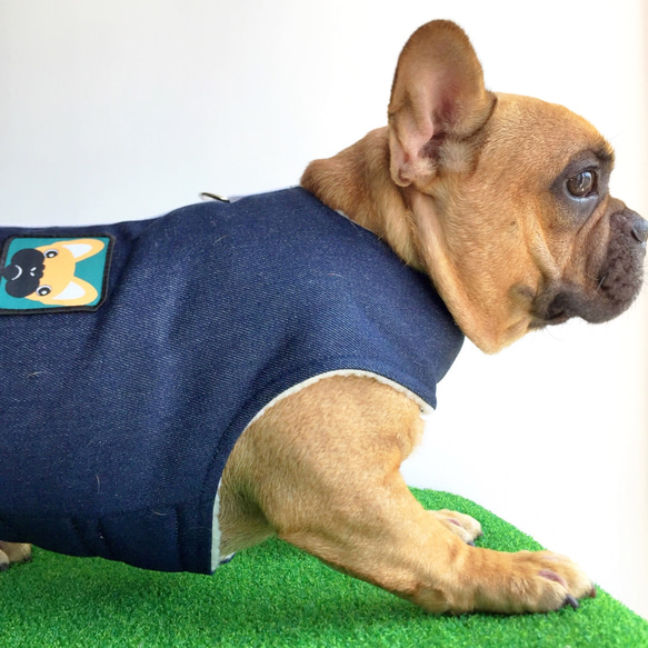 Frenchieの新しい冬のファッションの綿のデニムのペットの犬は、ブカレストのビロード暖かい衣類を活用します