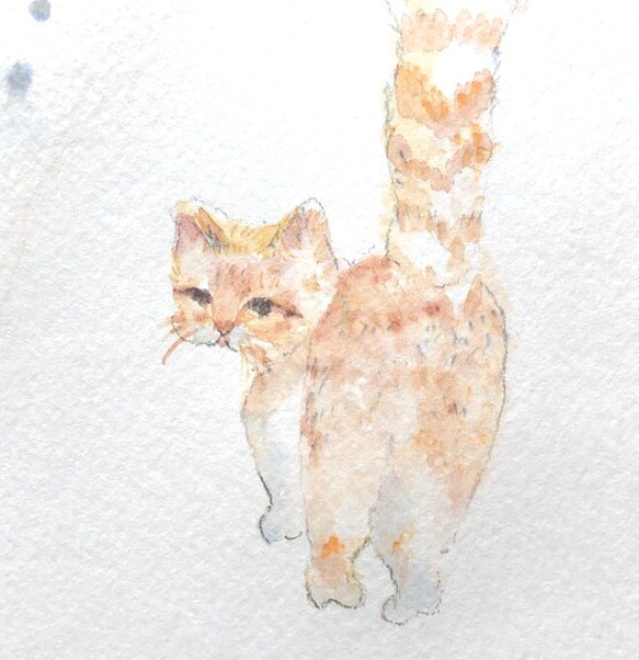 水彩画「ねこ」原画