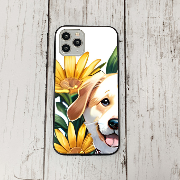 iphoneケース1-1-36 iphone 強化ガラス 犬・いぬ・ワンちゃん 箱12 かわいい アイフォン iface